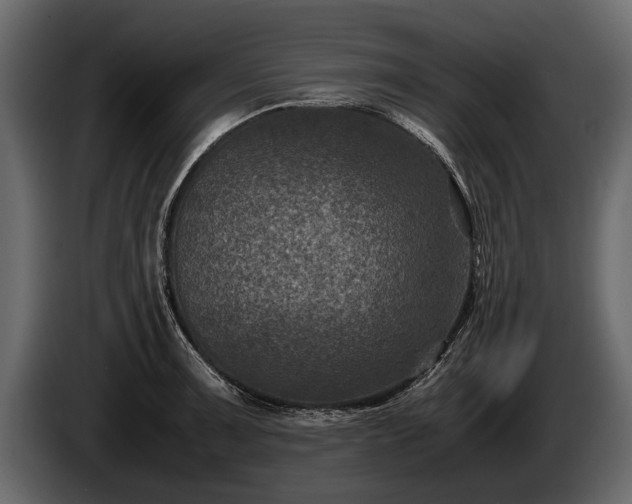 X0000085731091200703231043