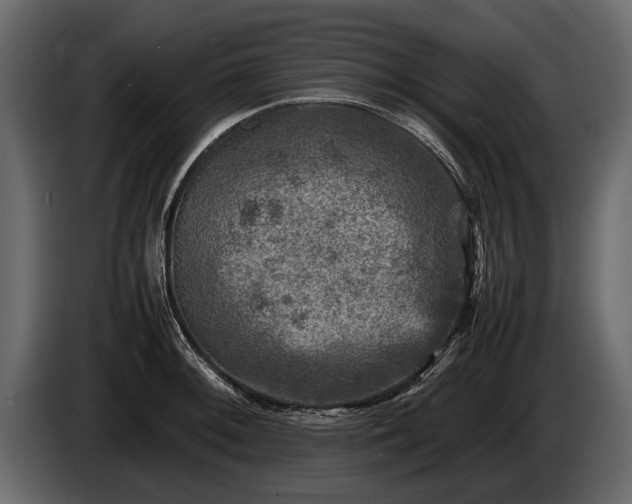 X0000085731092200703231043