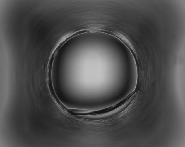 X0000085731093200703231043