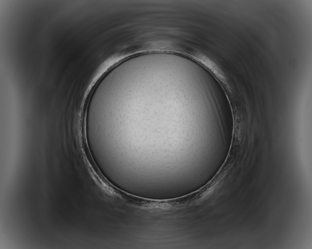 X0000085731094200703231043