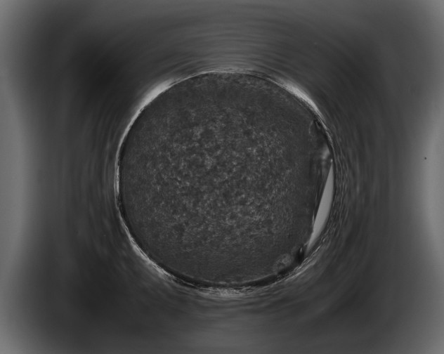 X0000085731095200703231043