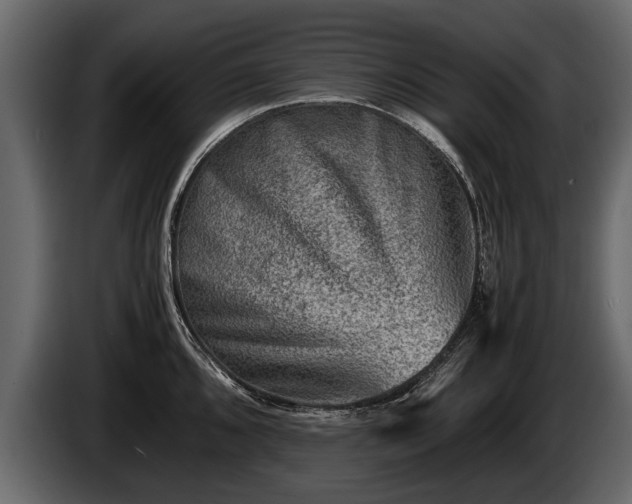 X0000085731096200703231043