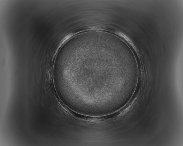 X0000085731097200703231043