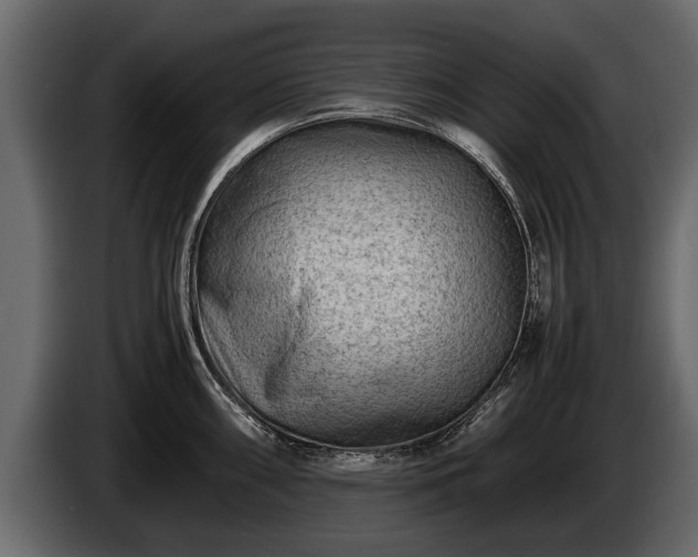 X0000085731098200703231043