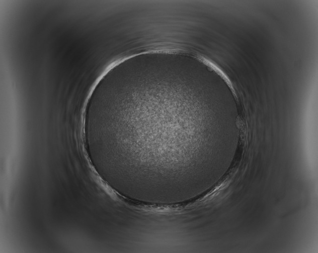 X0000085731099200703231043