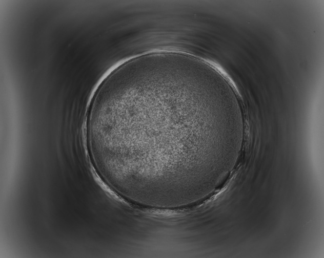 X0000085731100200703231043