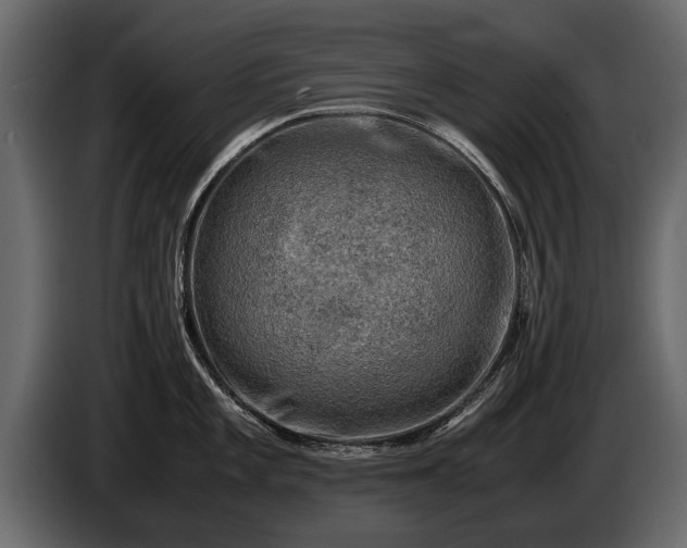 X0000085731101200703231043