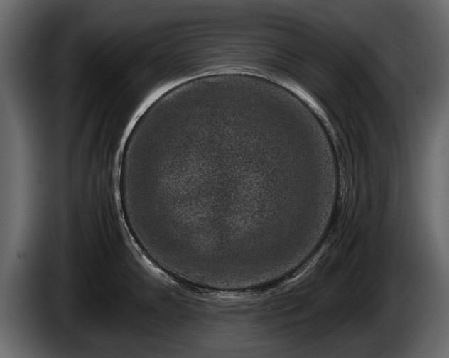 X0000085731102200703231043