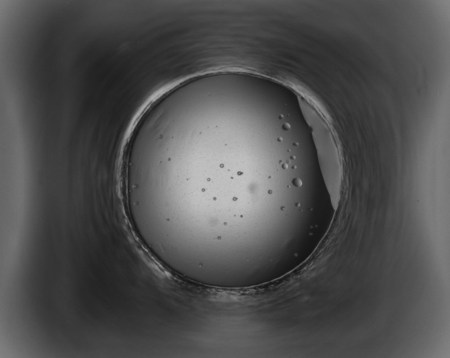 X0000085731104200703231043