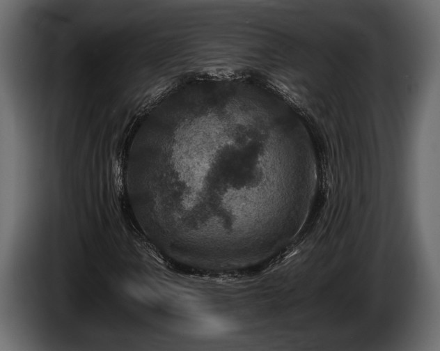 X0000085731106200703231042