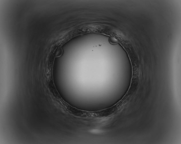 X0000085731109200703231042