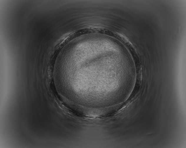 X0000085731110200703231042