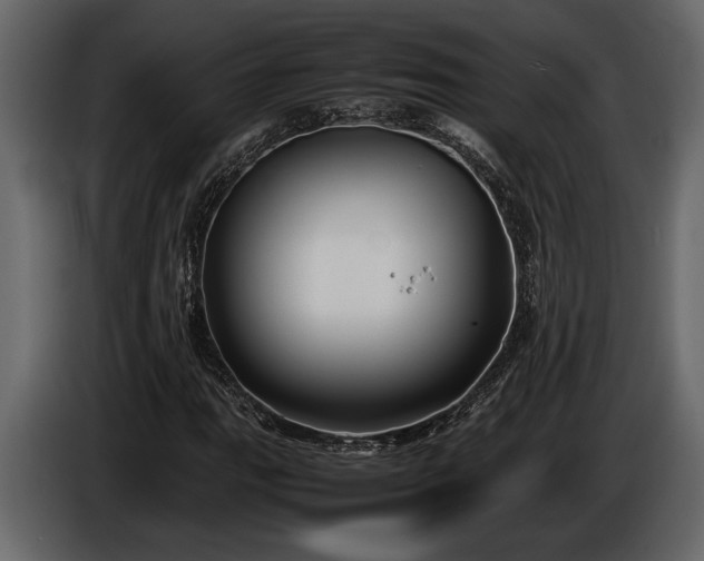 X0000085731111200703231042