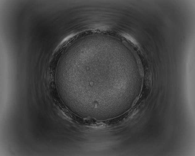 X0000085731112200703231042