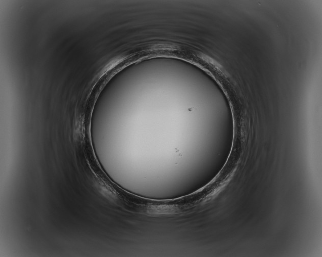 X0000085731113200703231042