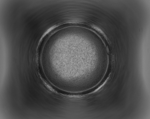 X0000085731114200703231042