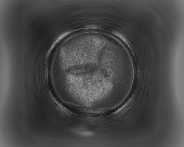 X0000085731115200703231042