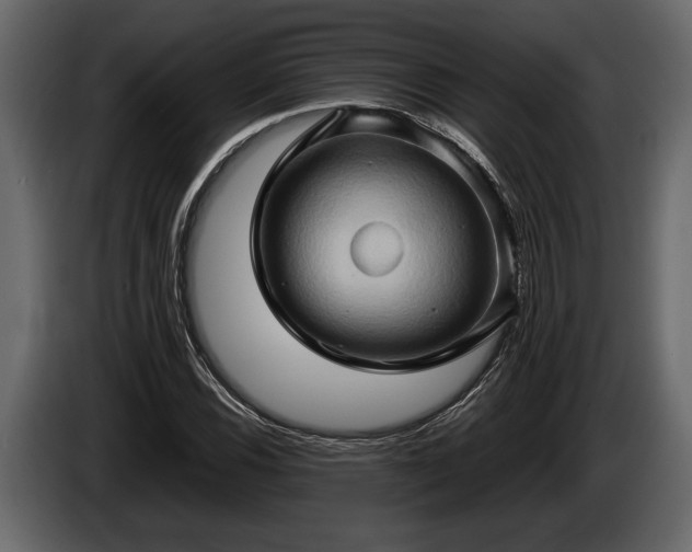 X0000085731116200703231042