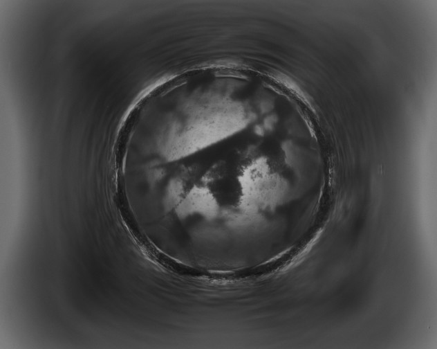 X0000085731117200703231042