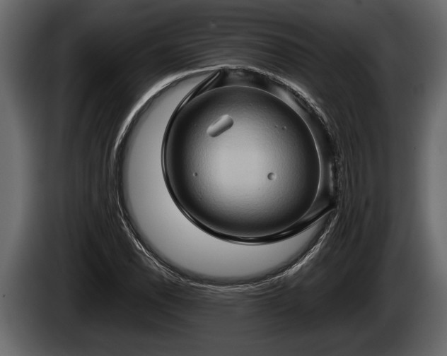 X0000085731118200703231042