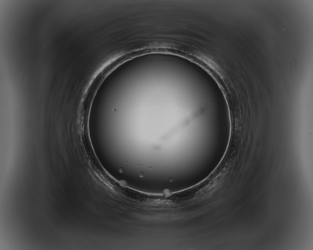 X0000085731119200703231042