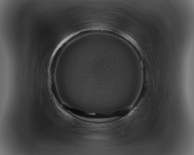 X0000085731120200703231042