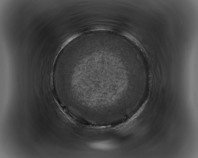 X0000085731121200703231042