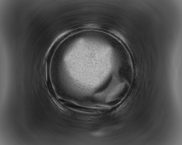 X0000085731123200703231042