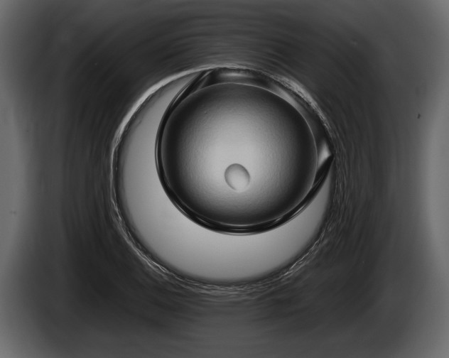 X0000085731124200703231042