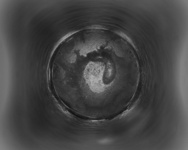 X0000085731125200703231042