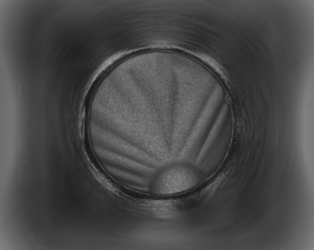 X0000085731126200703231042