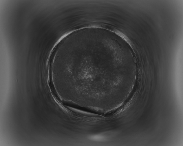 X0000085731127200703231042