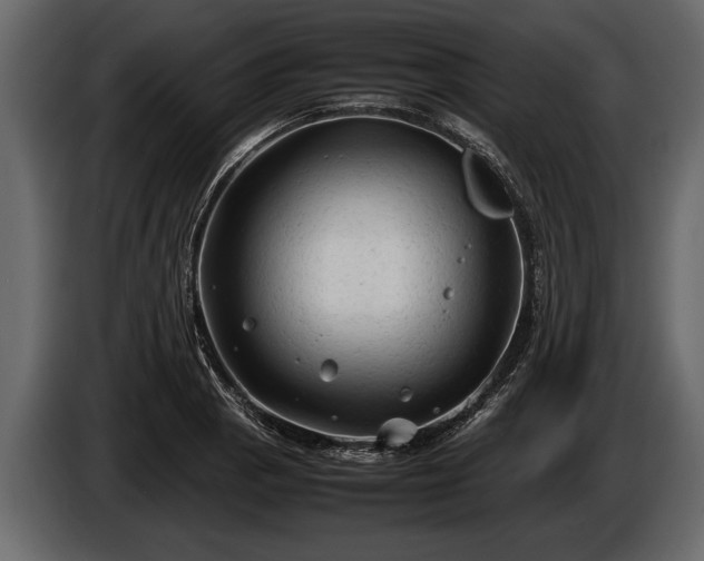 X0000085731129200703231042