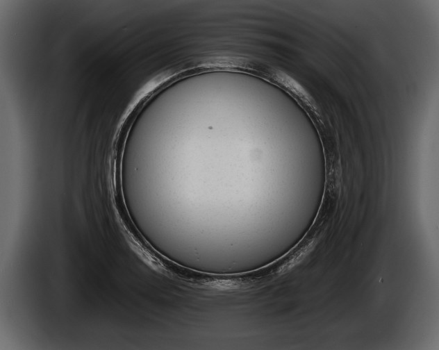 X0000085731130200703231042