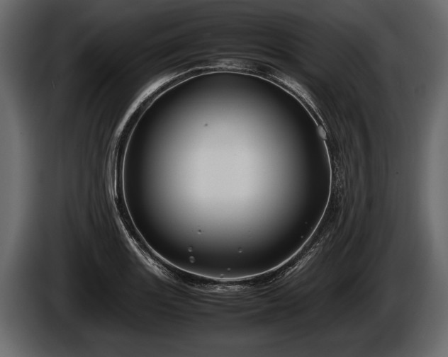 X0000085731131200703231042