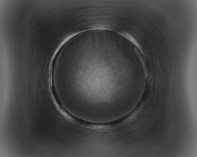 X0000085731132200703231042