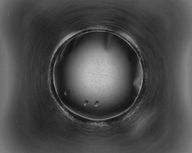 X0000085731133200703231042