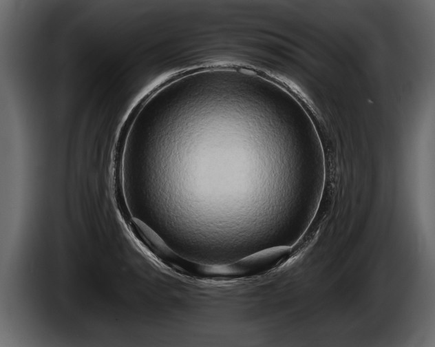 X0000085731134200703231042