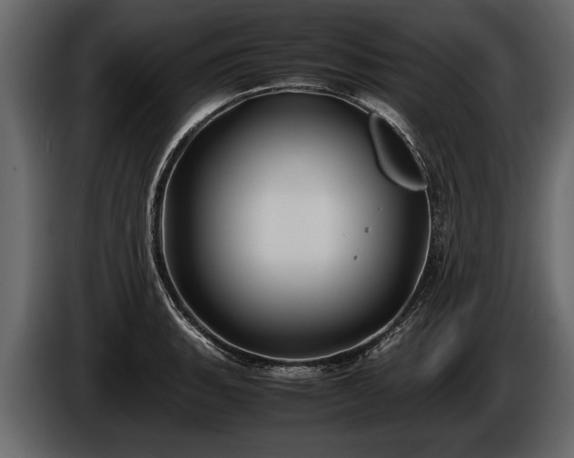 X0000085731135200703231042