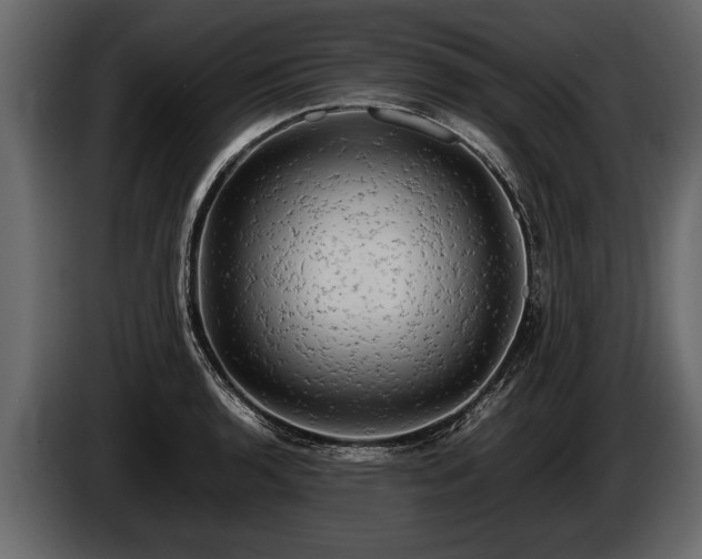 X0000085731136200703231042