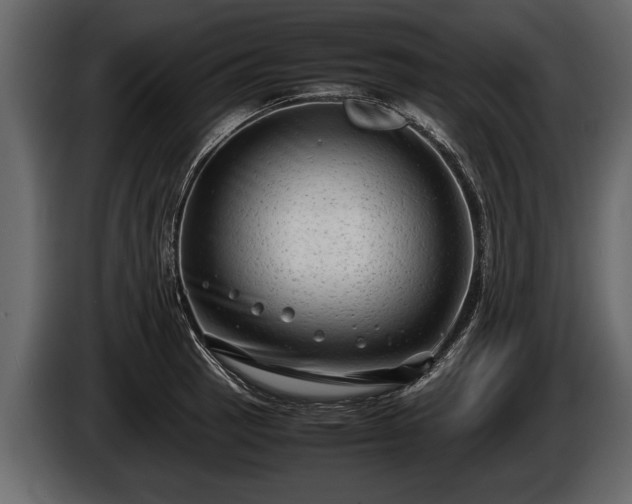 X0000085731137200703231042