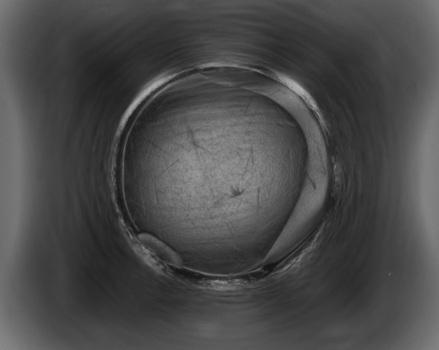 X0000085731138200703231042