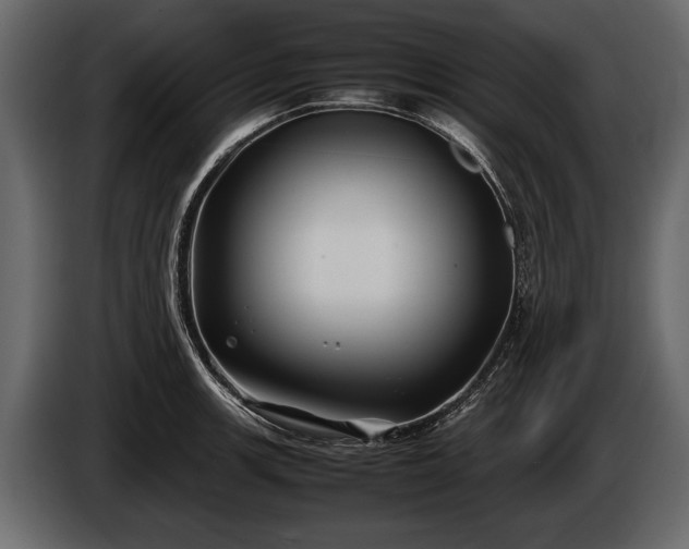 X0000085731139200703231042