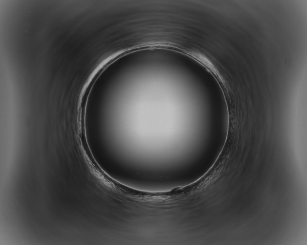 X0000085731140200703231042