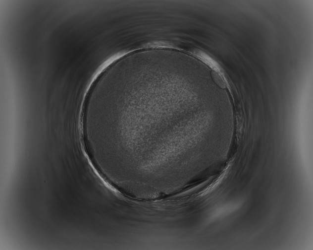 X0000085731141200703231042