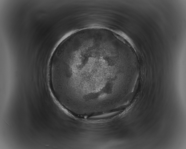 X0000085731142200703231042