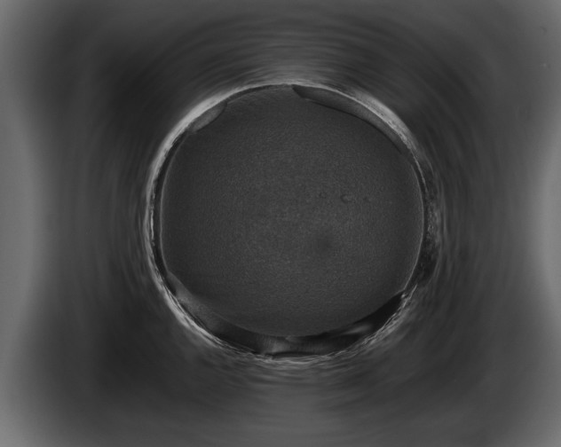 X0000085731144200703231042