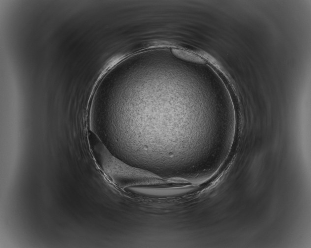 X0000085731145200703231042