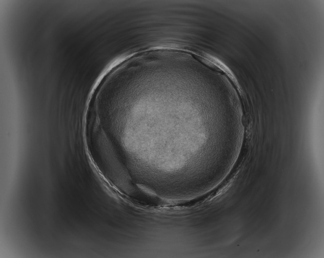 X0000085731146200703231042