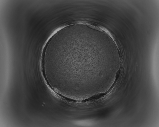 X0000085731147200703231042